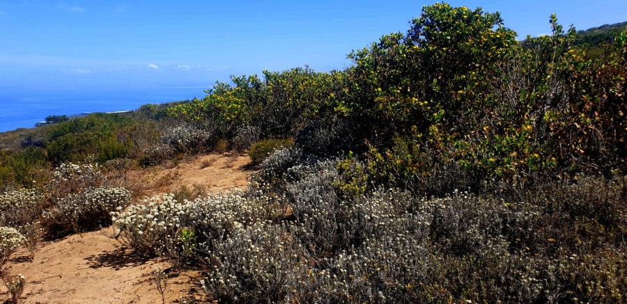 Commercial Property for Sale in Paradise Coast Western Cape